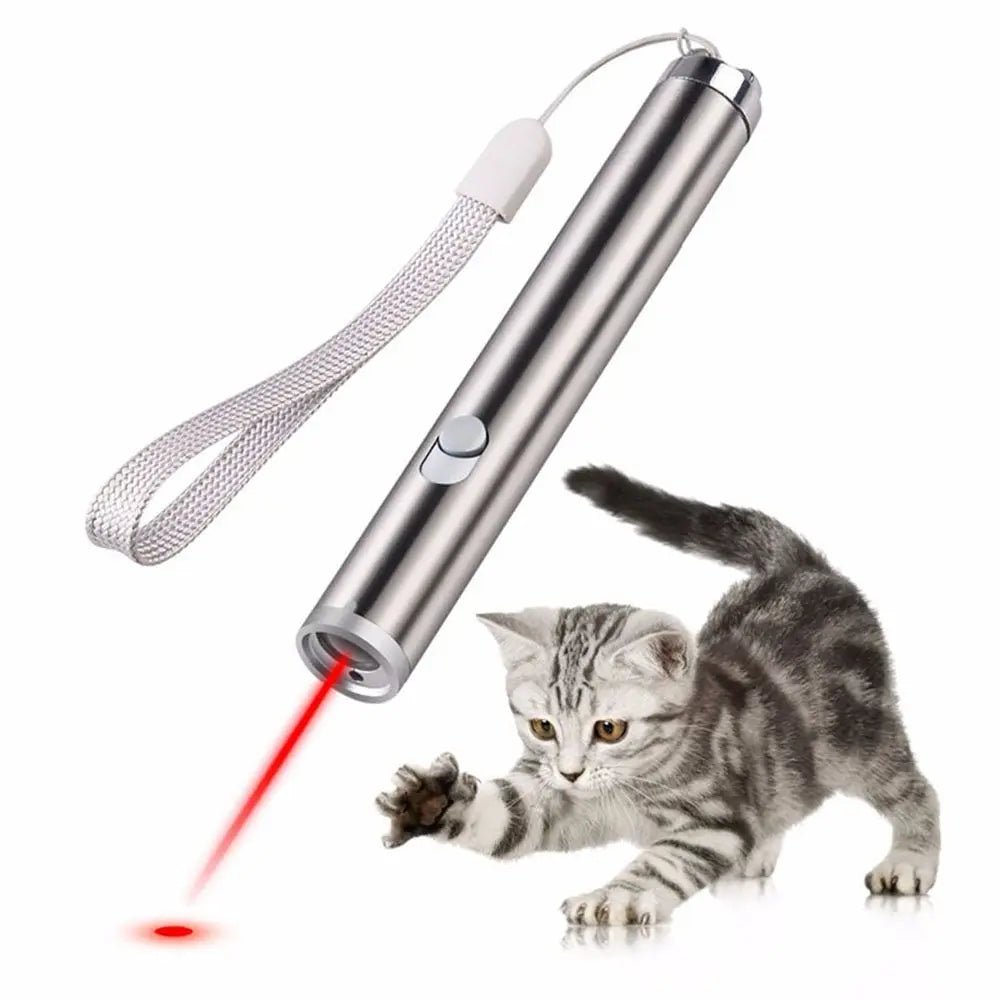 Toy Laser Pet Funny Interactive 2 In 1 Chaser Toys LED Light Cat Play Toys Pointer
