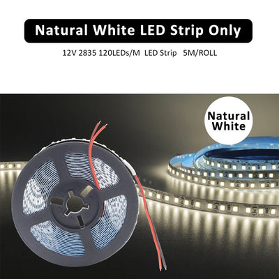 LED Motion Sensor Stair Light Strip Controller DC 12V 24V 32 Channels Smart PIR Night Light Single Corlor Control Flexible Tape