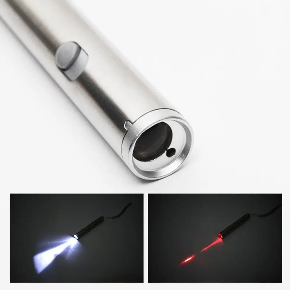 Toy Laser Pet Funny Interactive 2 In 1 Chaser Toys LED Light Cat Play Toys Pointer